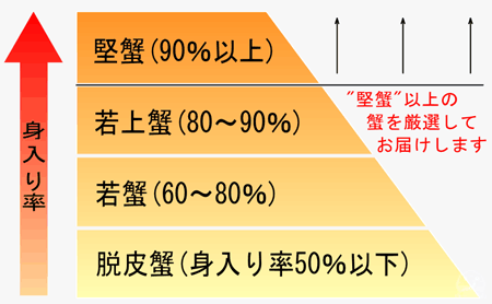 ズワイガニのランク