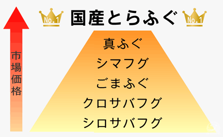 国産とらふぐの市場価格