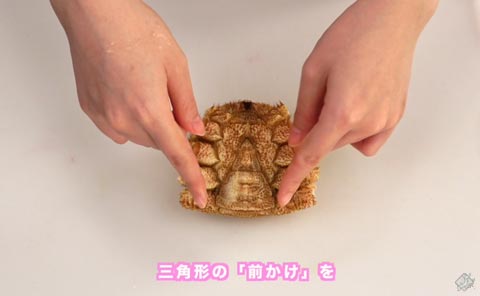 三角形の「前かけ」を