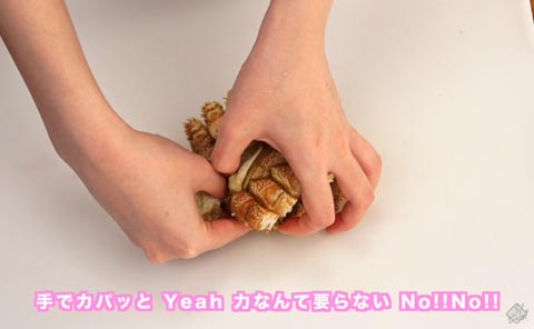 手でカパッと Yeah 力なんて要らない No!!No!!