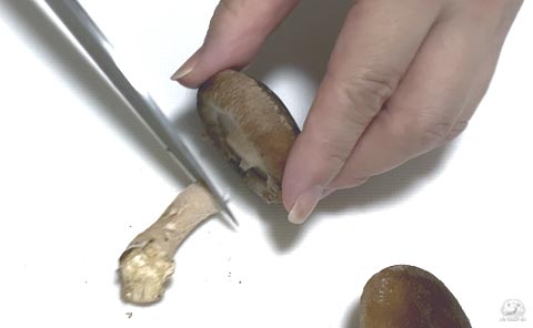 傘と軸を切り離す