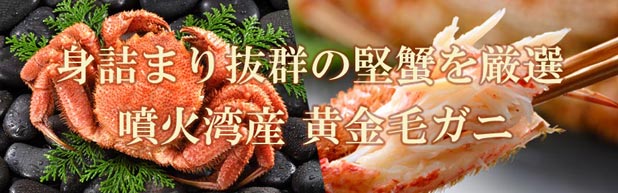 身詰まり抜群の堅蟹を厳選！噴火湾産黄金毛ガニ