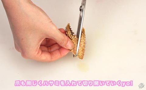 爪も同じくハサミを入れて切り開いていくyo!