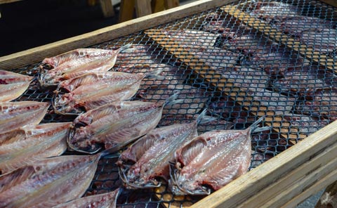 天日干しをする魚の開き