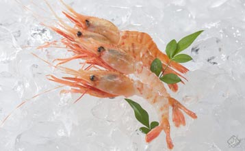 海老通販お取り寄せ専門店 北海道直送 ボタンエビ ふるさと産直村