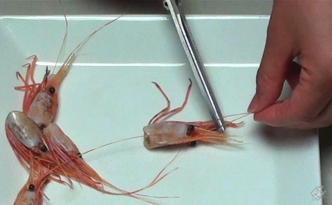 海老の頭でお味噌汁のレシピ 作り方 お召し上がり方 ふるさと産直村